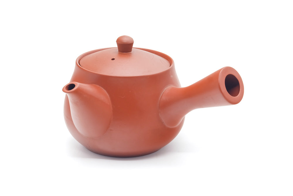 Japanese Kyusu - Bamboo Engraved Tokoname Teapot - 340ml