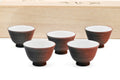 Set of 5 Tochiri Yōhen Yunomi - 85ml