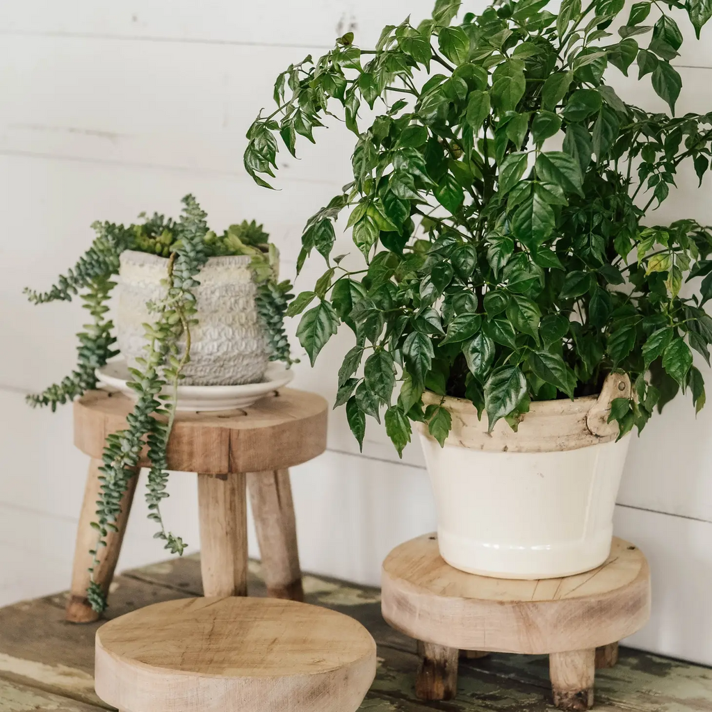 Wood Riser Stand