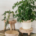 Wood Riser Stand