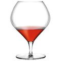 Nude Fantasy Cognac Stemware Glass