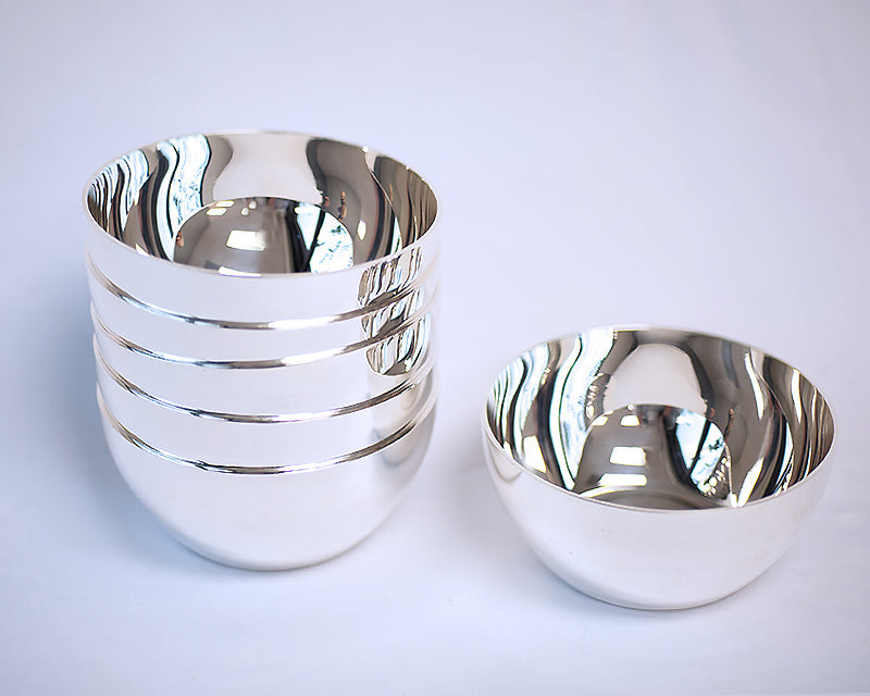 Hôtel Silver Bowl