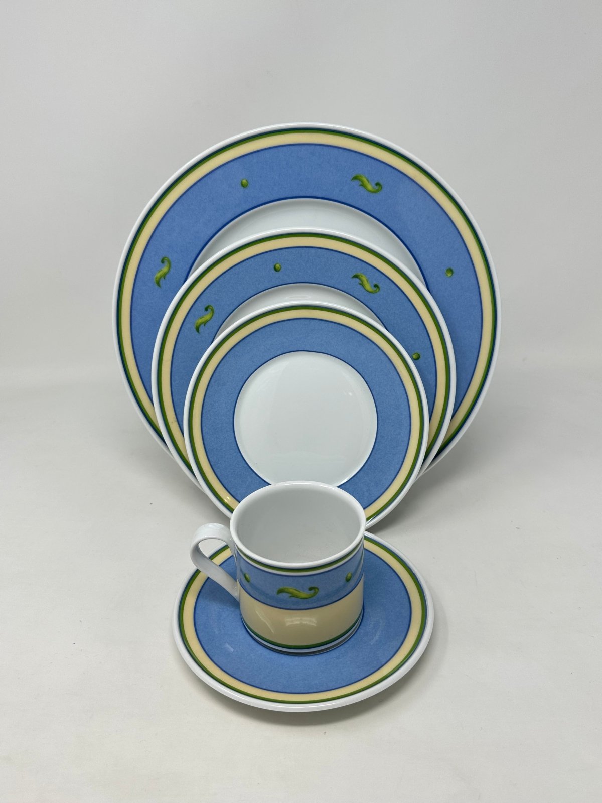 Hutschenreuther Viva Besco - 5 Piece Place Setting