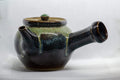 Japanese Kyusu - Large Koishiwara-yaki Ceramic Teapot - 525ml