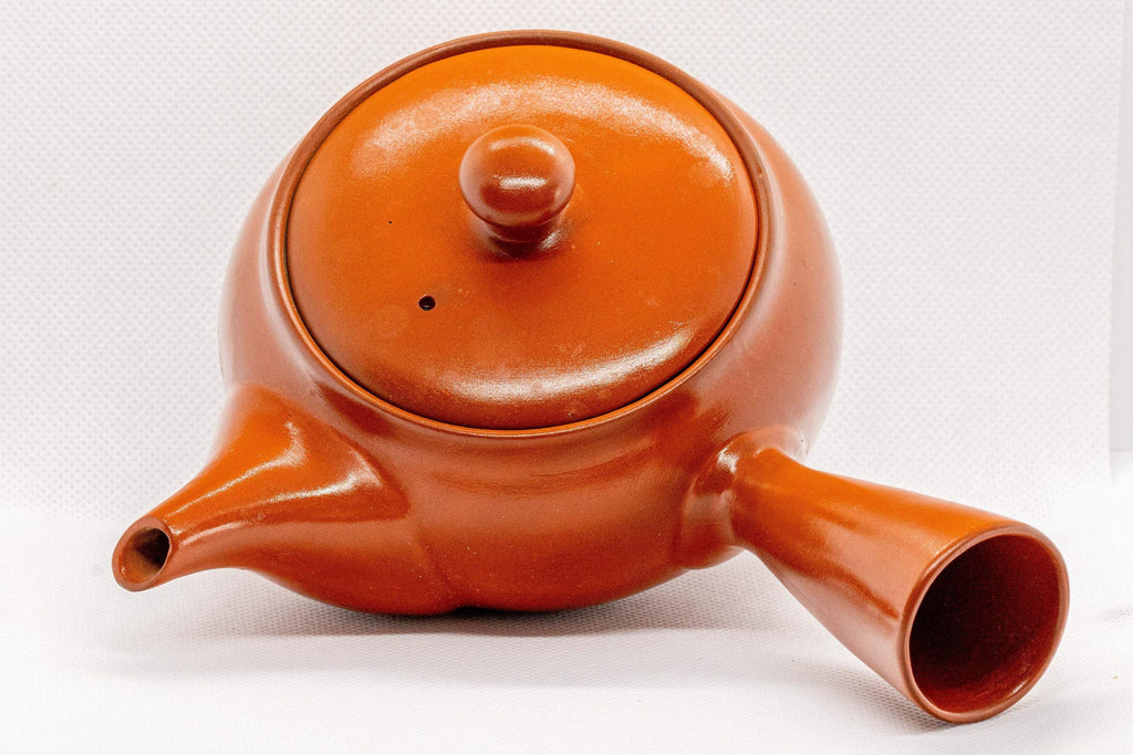 Japanese Kyusu - Tokoname-yaki Ceramic Teapot with Mesh Strainer - 300ml