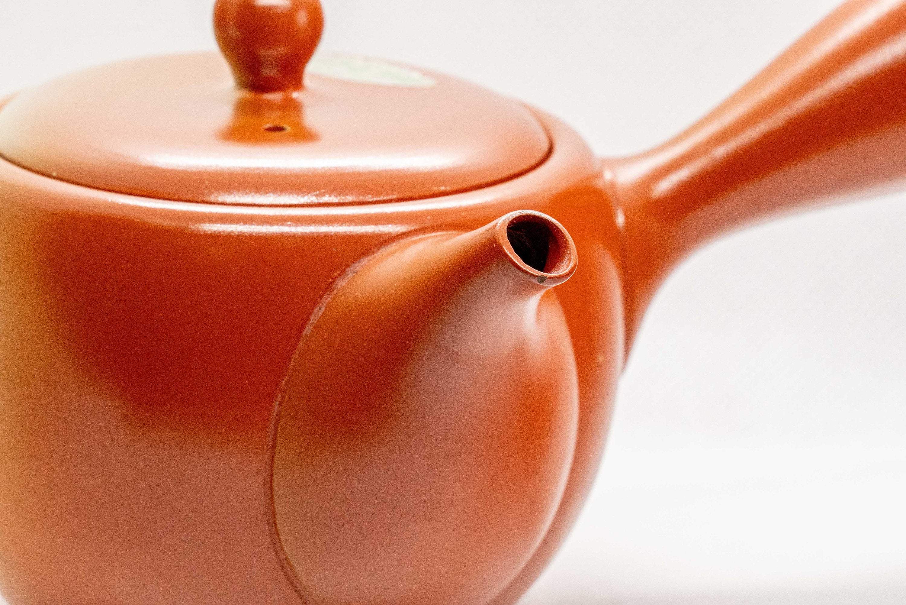 Japanese Kyusu - Floral Red Shudei Tokoname-yaki Ceramic Teapot - 350ml