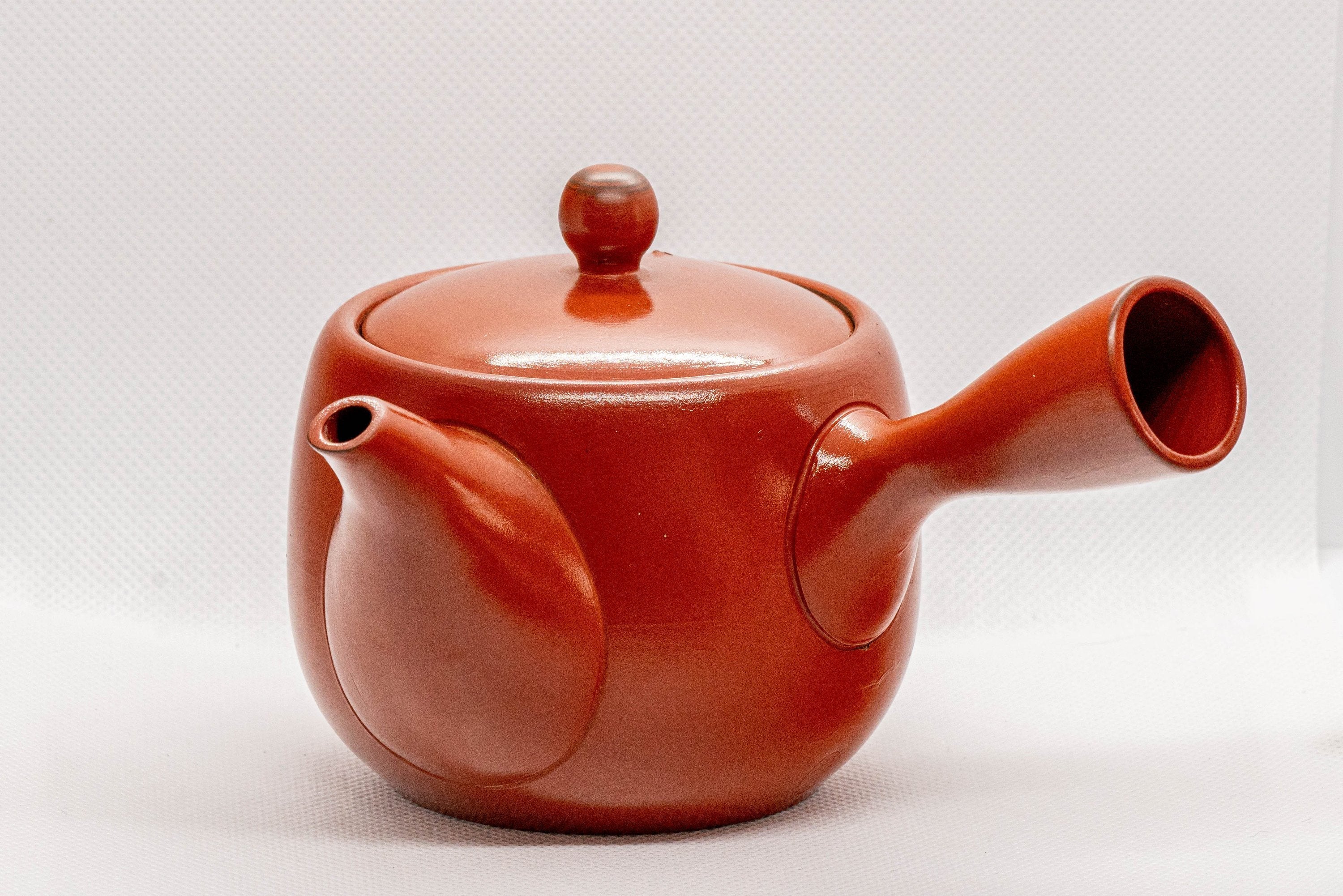 Japanese Kyusu - Tokoname-yaki Ceramic Teapot with Mesh Strainer - 300ml