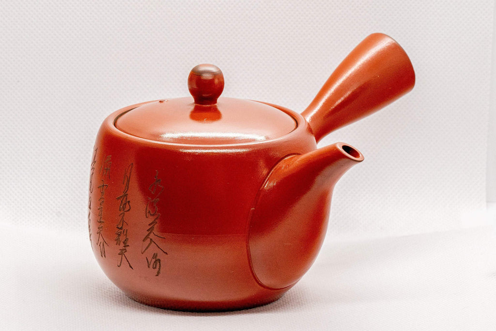 Japanese Kyusu - Tokoname-yaki Ceramic Teapot with Mesh Strainer - 300ml