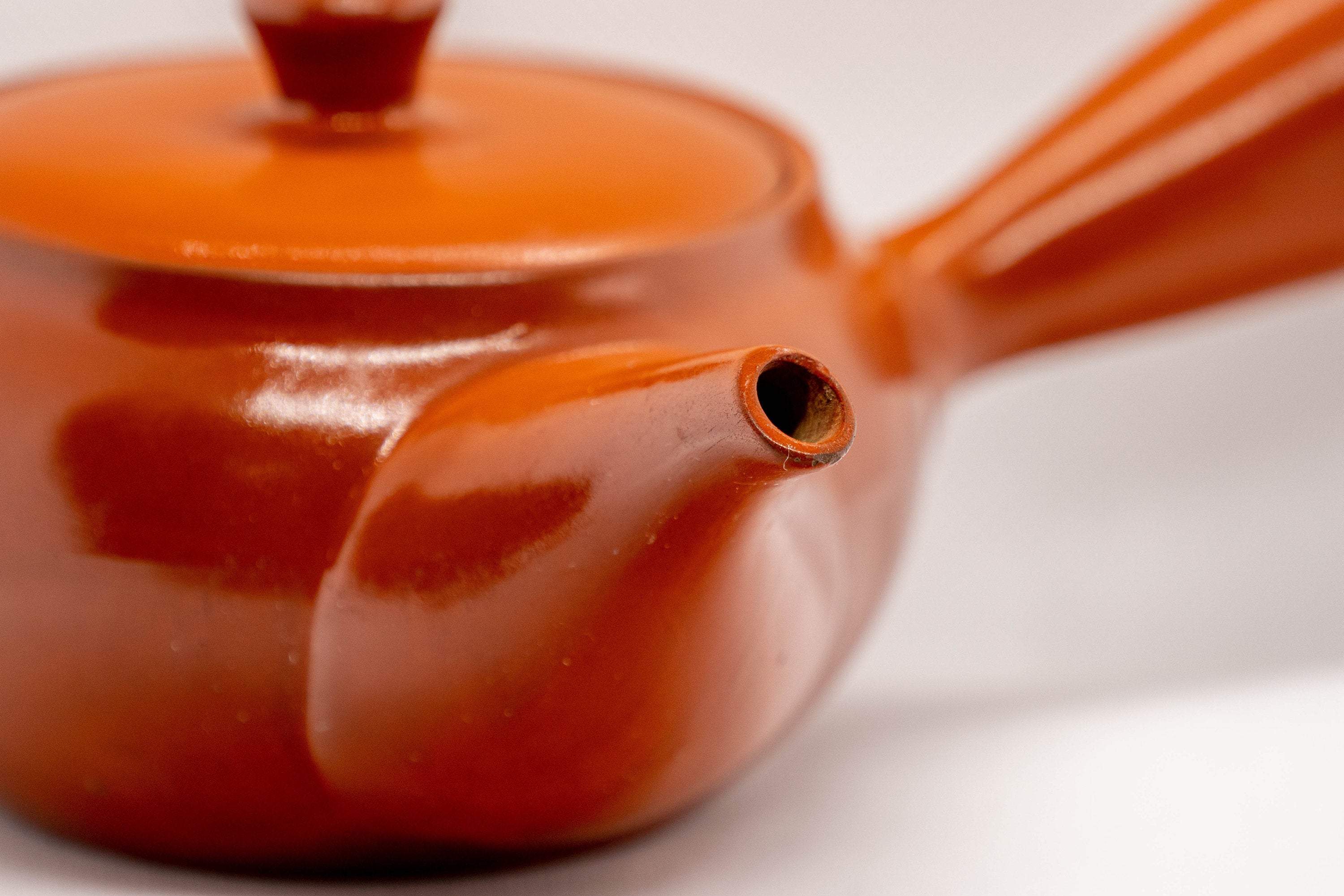 Japanese Kyusu - Tokoname-yaki Ceramic Teapot with Mesh Strainer - 300ml