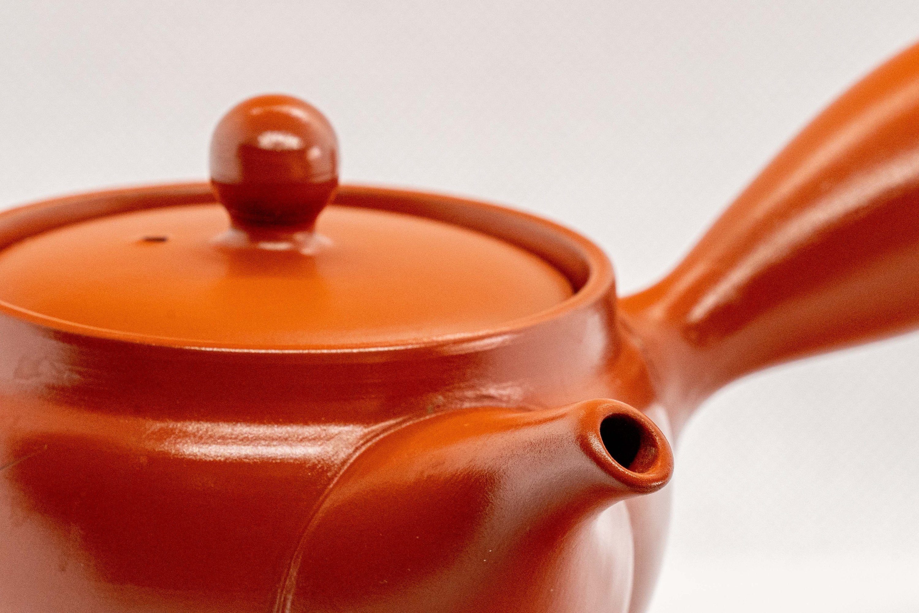Japanese Kyusu - Floral Engraved Red Shudei Tokoname-yaki Ceramic Teapot - 300ml
