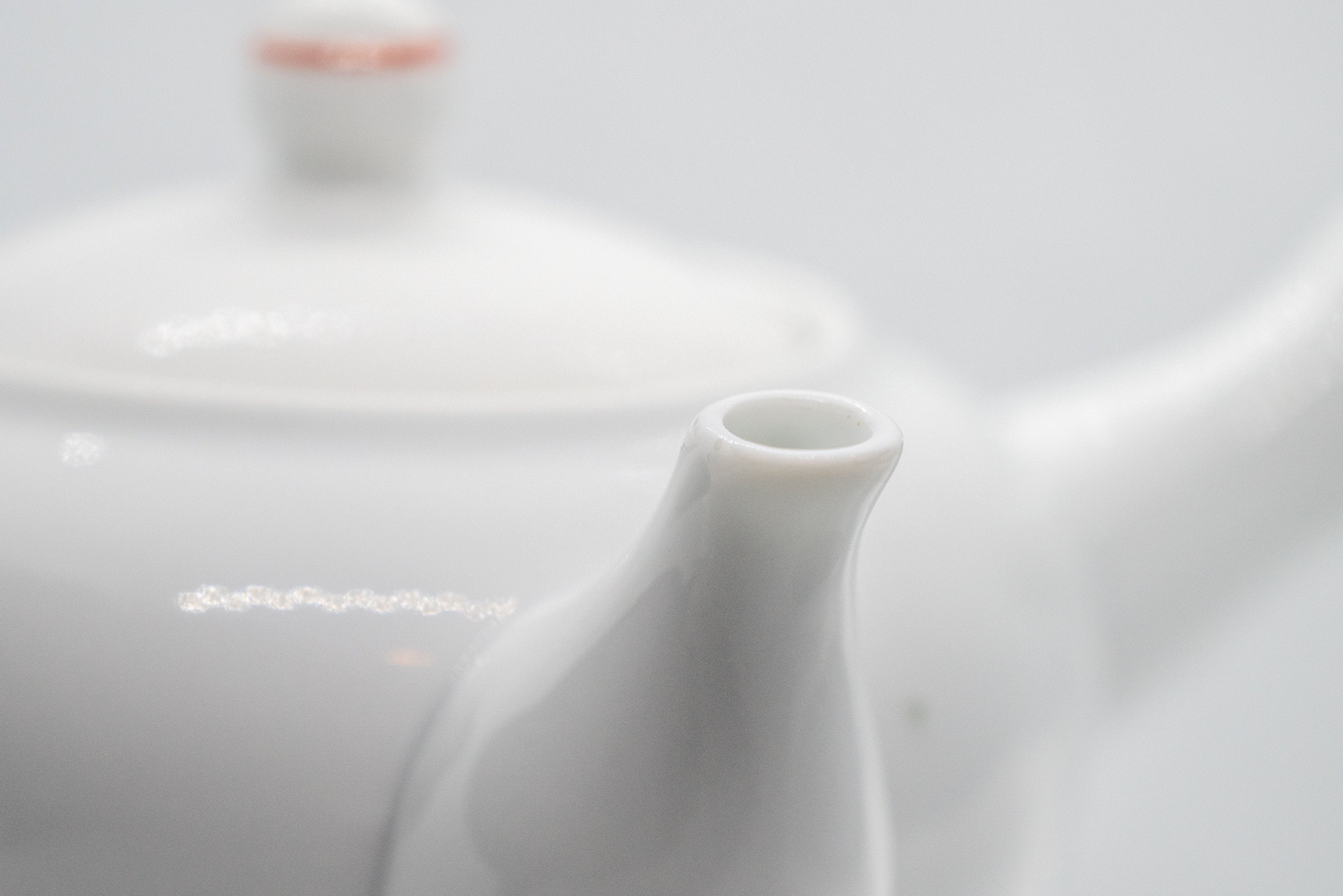 Japanese Kyusu - Persimmon Porcelain Arita-yaki Debeso Teapot - 315ml