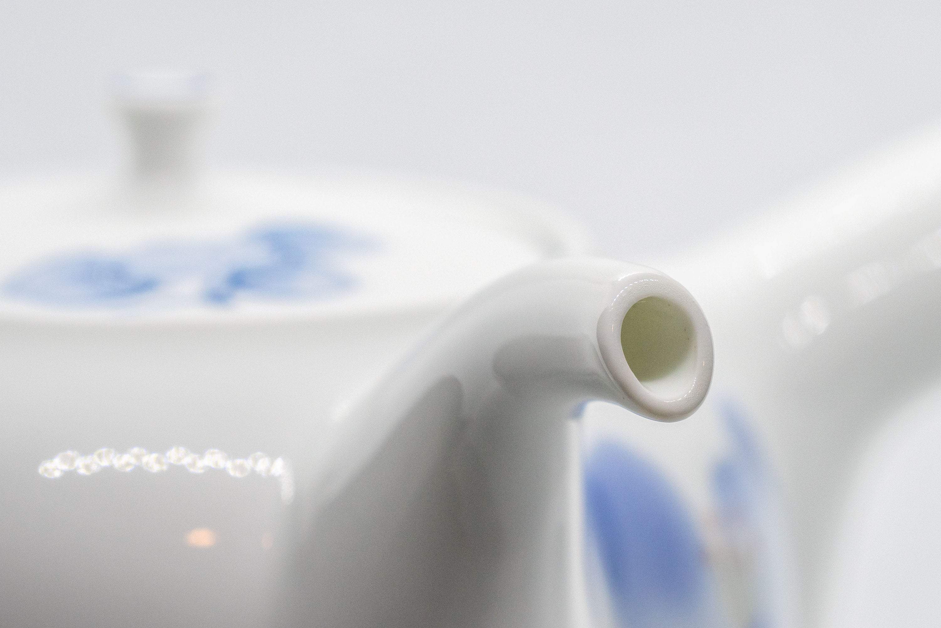 Japanese Kyusu - White Porcelain Blue Orchids Teapot - 375ml