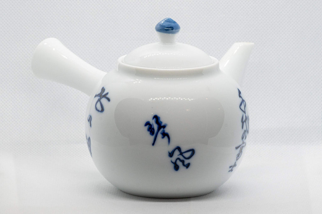Japanese Kyusu - Nasu-gata Arita-yaki Debeso Teapot - 360ml