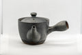 Japanese Kyusu - Matte Black Soko-ami Teapot - 175ml