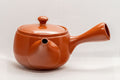 Japanese Kyusu - 春秋 Tokoname-yaki Side-handle Teapot - 350ml