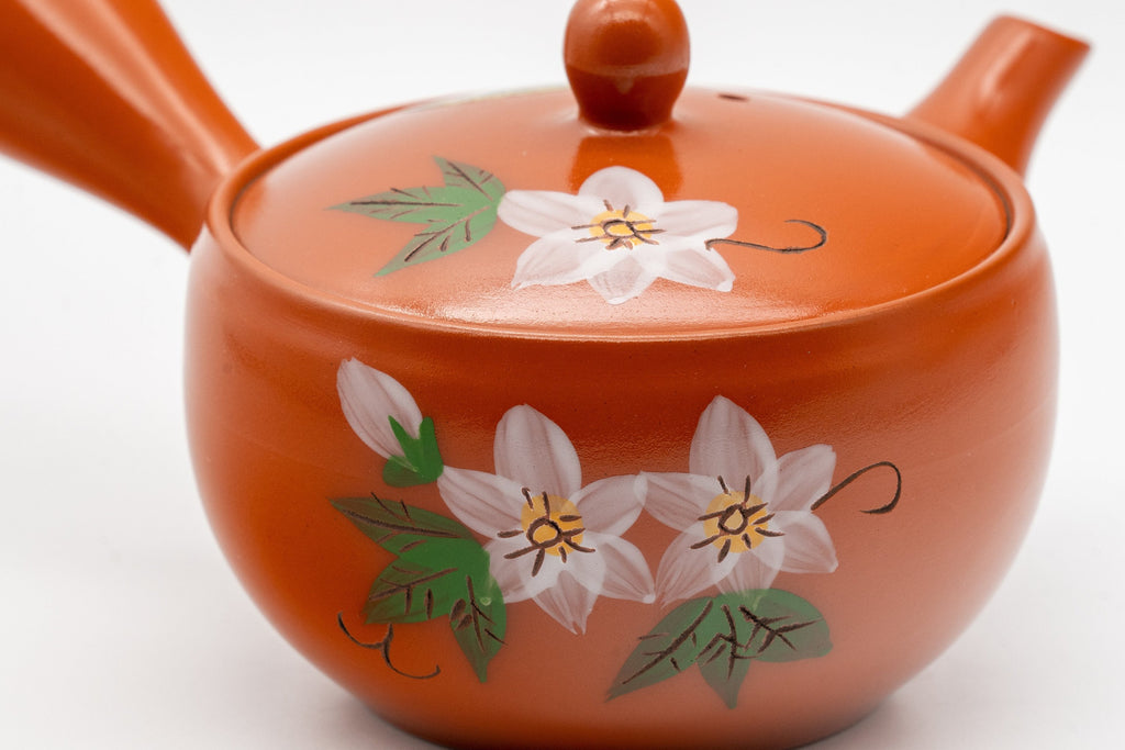 Japanese Kyusu - 盛山窯 Moriyama Kiln Floral Tokoname-yaki Teapot - 180ml