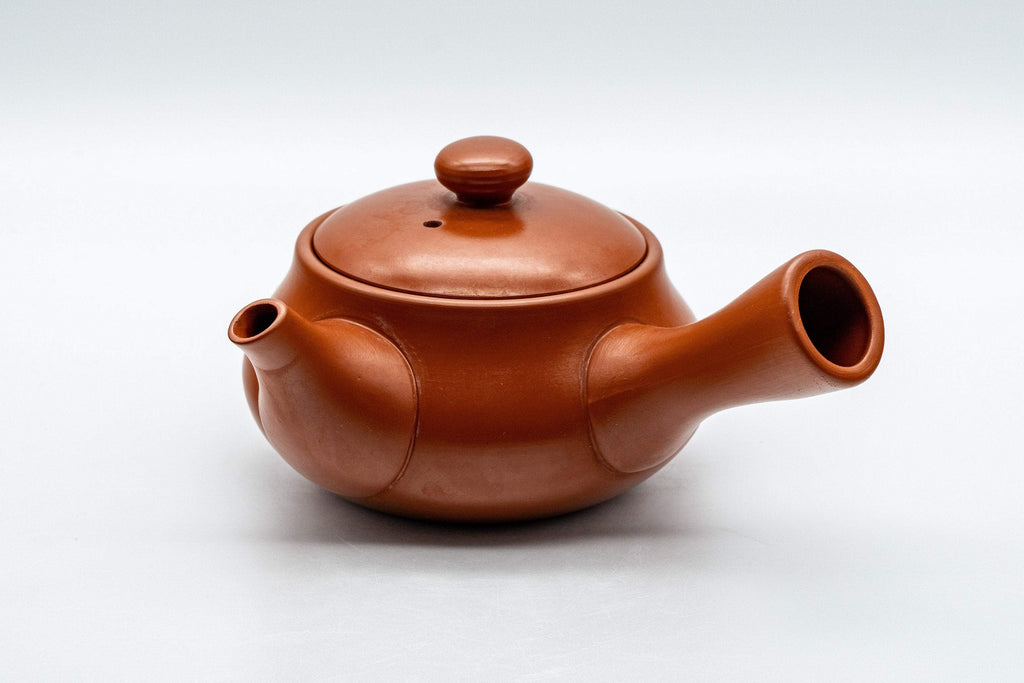 Japanese Kyusu - Calligraphy Nasu-gata Tokoname-yaki Debeso Teapot - 220ml