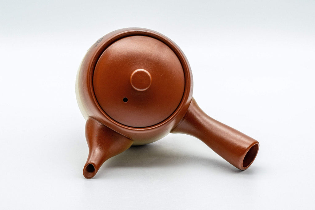 Japanese Kyusu - Plum Blossom Tokoname-yaki Teapot - 325ml
