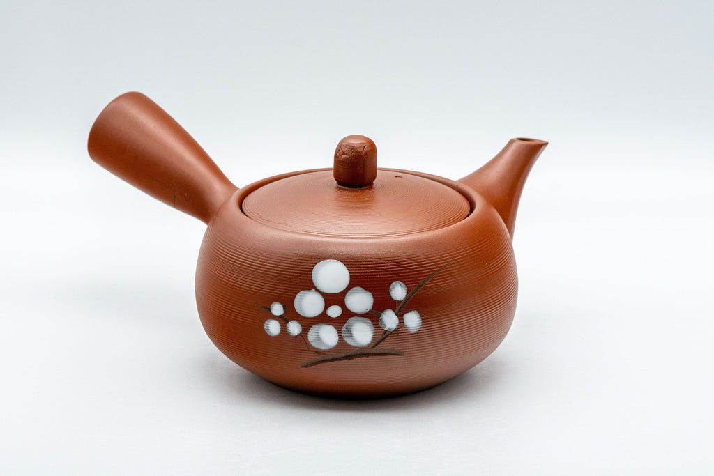 Japanese Kyusu - 常滑焼 Plum Blossom Tokoname-yaki Debeso Teapot - 350ml