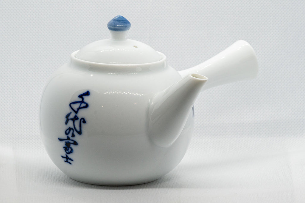 Japanese Kyusu - Nasu-gata Arita-yaki Debeso Teapot - 360ml