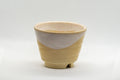 Japanese Teacup - Asagao-gata Hagi-yaki Yunomi - 145ml