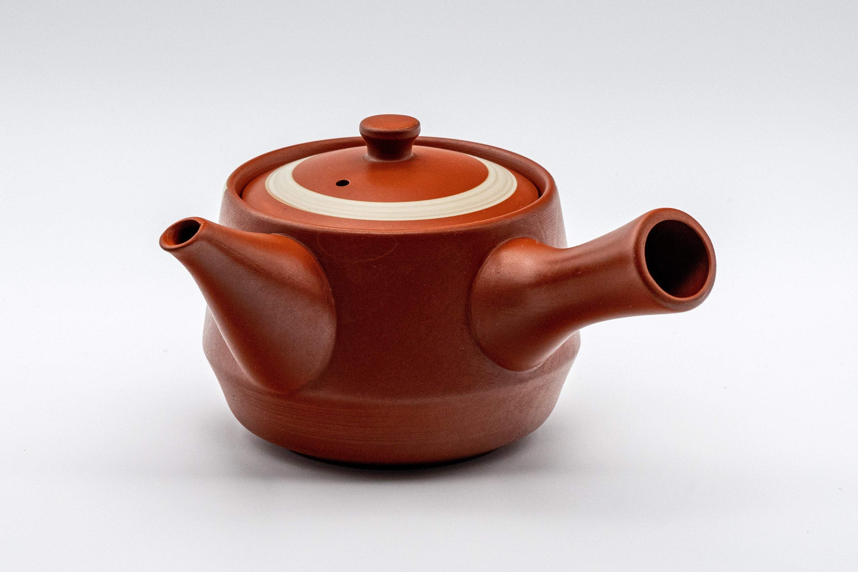 Japanese Kyusu - Tokoname-yaki Teapot with Bamboo Scene - 300ml