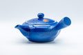 Japanese Kyusu - Momiji Hiramaru-gata Porcelain Debeso Teapot - 300ml