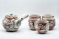 Japanese Tea Set - Floral Brush Glazed Debeso Kyusu with 5 Yunomi