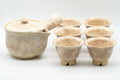 Japanese Tea Set - 萩焼 Hagi-yaki Houhin-style Do-ake Kyusu with 6 Senchawan - 450ml