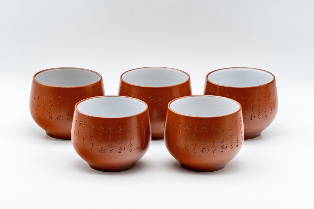 Japanese Tea Set - 雲仙窯 Calligraphy Tokoname-yaki Debeso Kyusu with 5 Yunomi