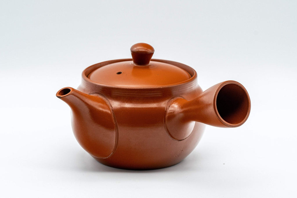 Japanese Kyusu - 富仙窯 Fusen Kiln Calligraphy Tokoname-yaki Teapot - 250ml