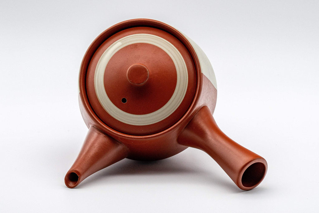 Japanese Kyusu - Tokoname-yaki Teapot with Bamboo Scene - 300ml