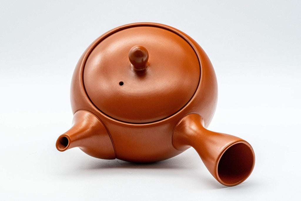 Japanese Kyusu - Bamboo Plum Blossoms Tokoname-yaki Teapot - 350ml