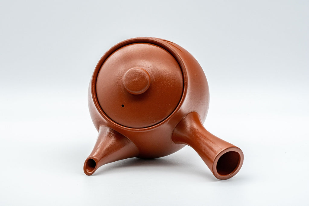Japanese Kyusu - Bamboo Nasu-gata Tokoname-yaki Debeso Teapot - 300ml