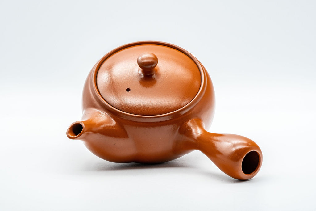 Japanese Kyusu - Tokoname-yaki Teapot with Fine Mesh Strainer - 330ml