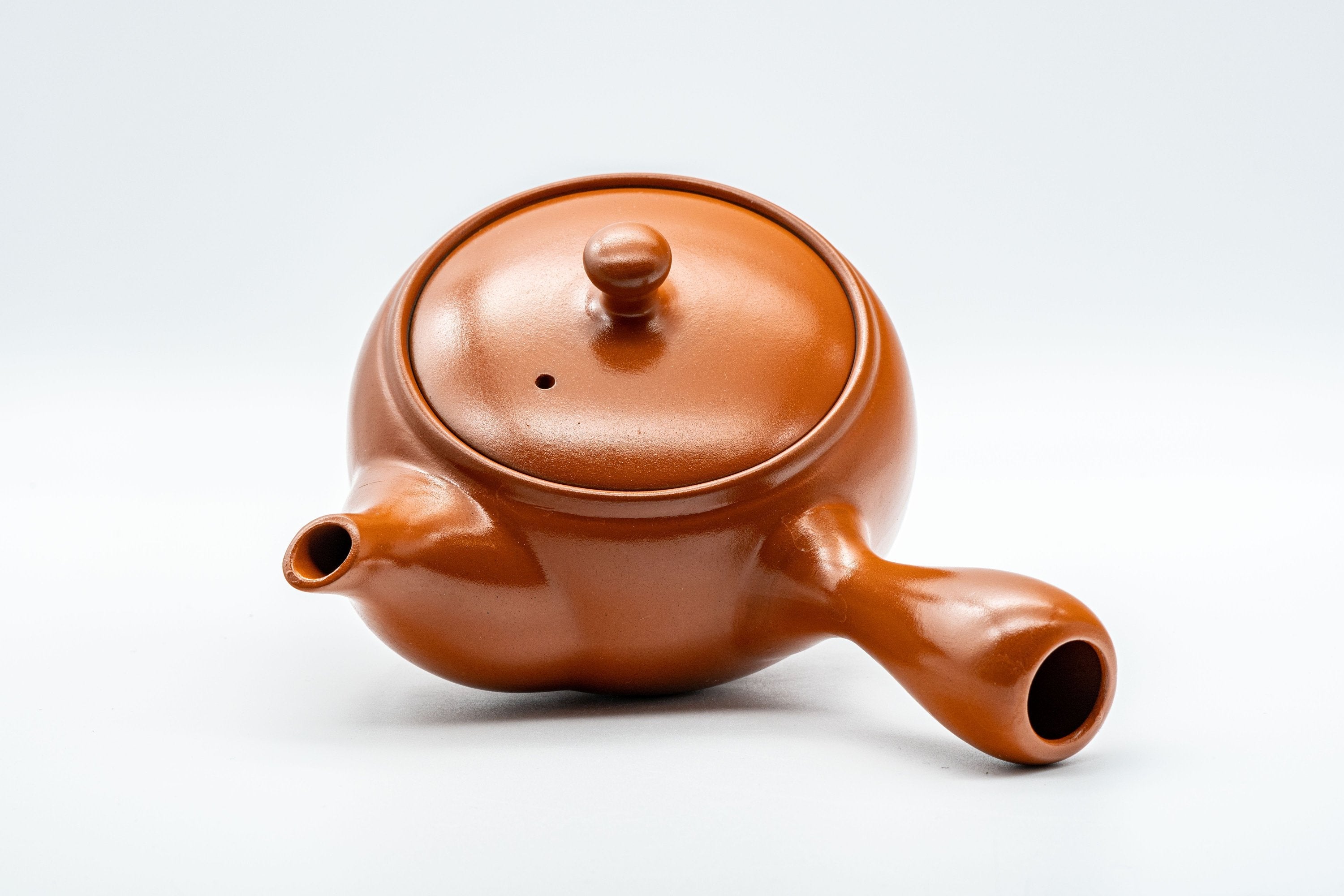 Japanese Kyusu - Tokoname-yaki Teapot with Fine Mesh Strainer - 330ml