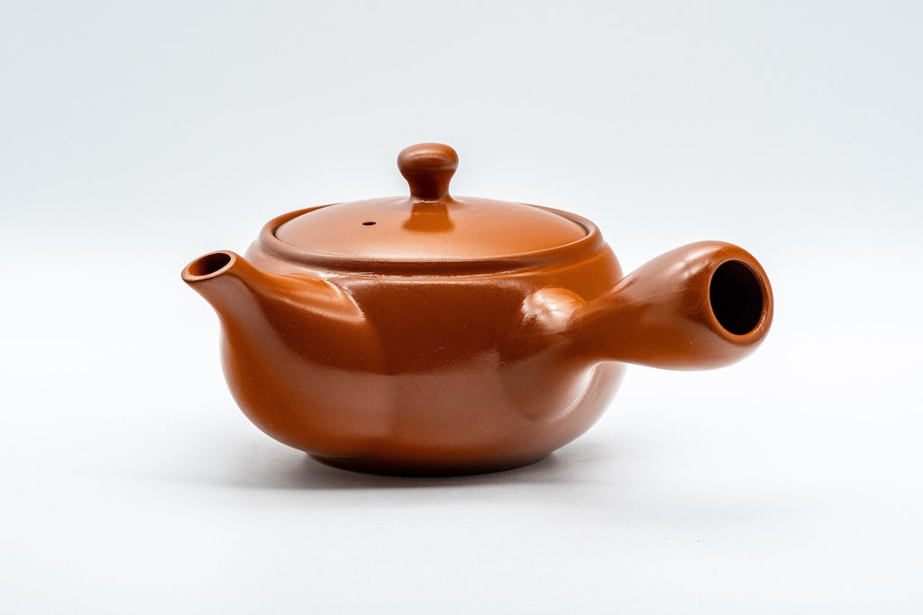 Japanese Kyusu - Tokoname-yaki Teapot with Fine Mesh Strainer - 330ml
