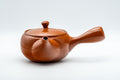 Japanese Kyusu - Tokoname-yaki Teapot with Fine Mesh Strainer - 330ml