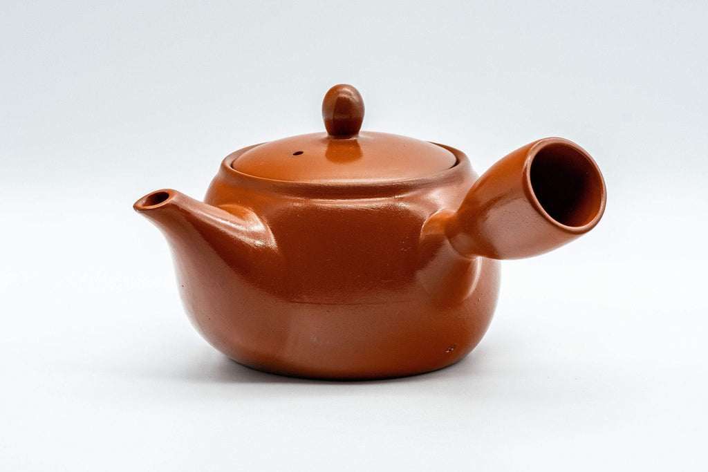 Japanese Kyusu - Floral Tokoname-yaki Teapot - 350ml