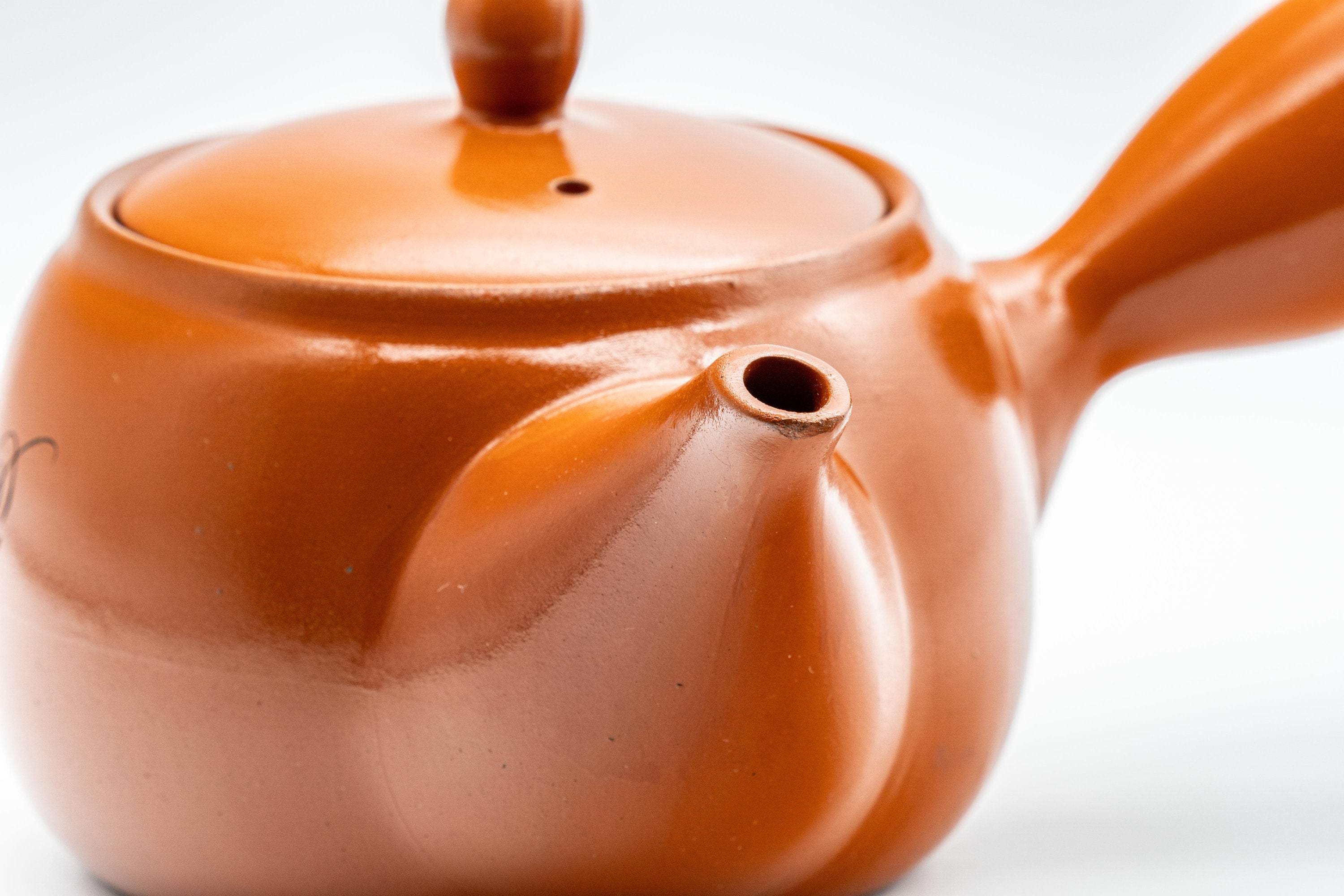 Japanese Kyusu - Floral Tokoname-yaki Teapot - 350ml