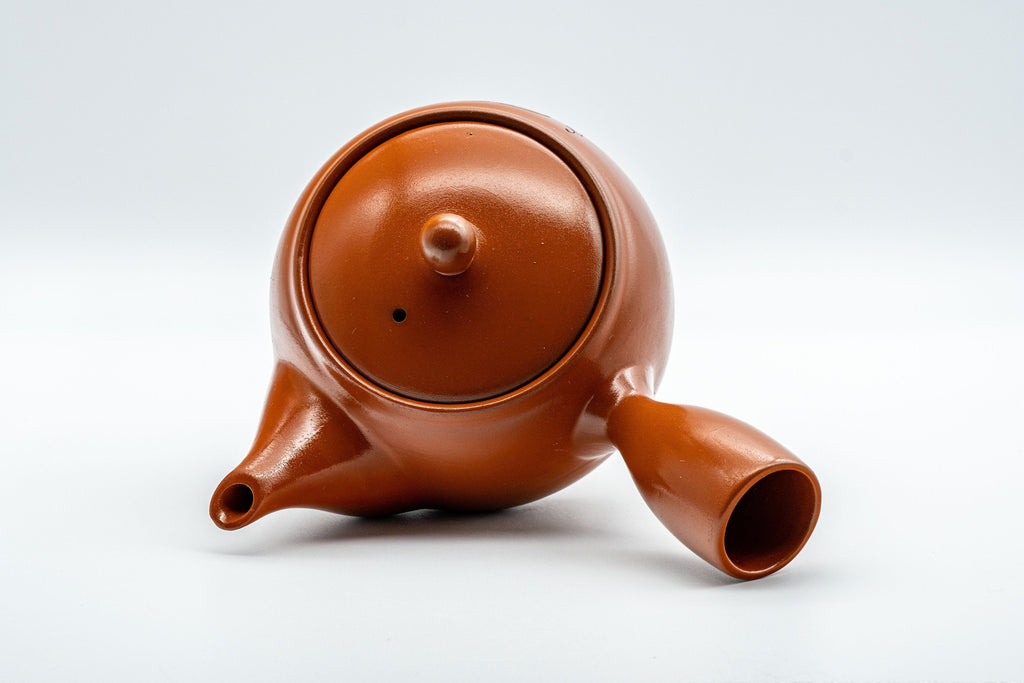 Japanese Kyusu - Floral Tokoname-yaki Teapot - 350ml