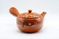 Japanese Kyusu - Large Sakura Tokoname-yaki Teapot - 600ml