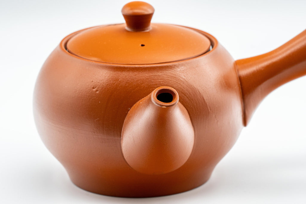 Japanese Kyusu - Mountainous Tokoname-yaki Teapot - 350ml