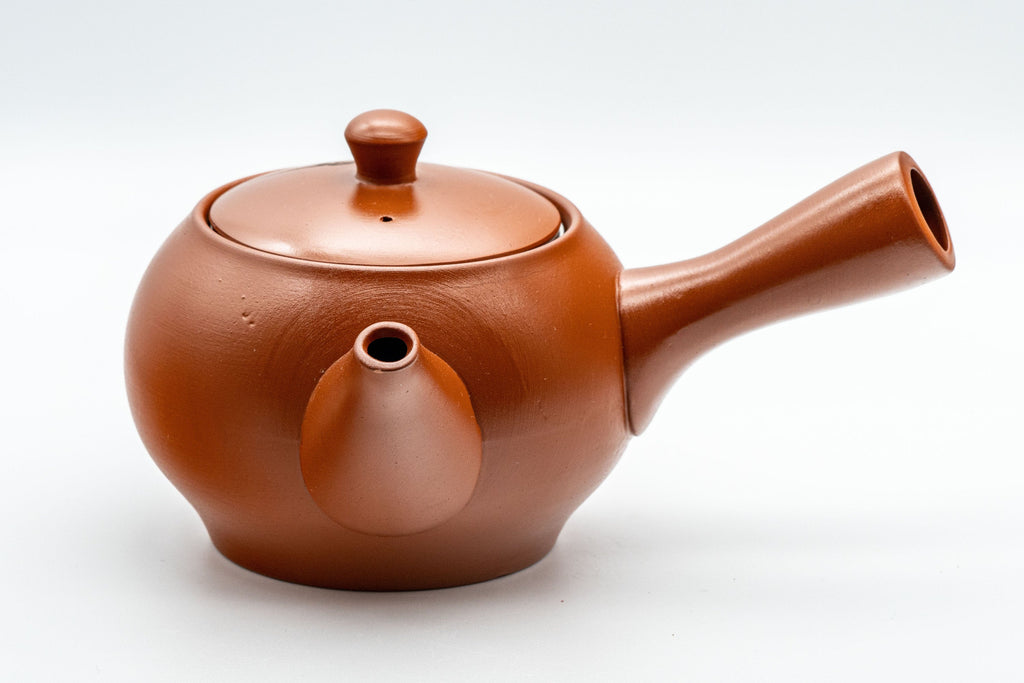Japanese Kyusu - Mountainous Tokoname-yaki Teapot - 350ml