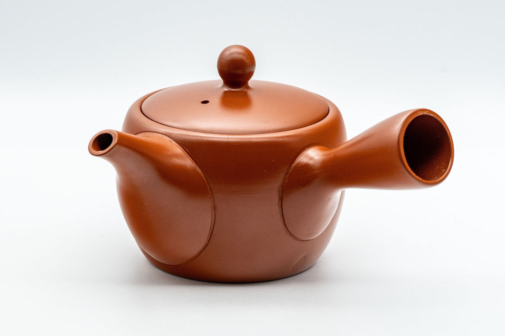 Japanese Kyusu - Floral Tokoname-yaki Teapot - 325ml