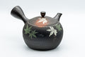 Japanese Kyusu - 玉光 Gyokko - Tochiri-style Momiji Yōhen Tokoname-yaki Debeso Teapot - 250ml