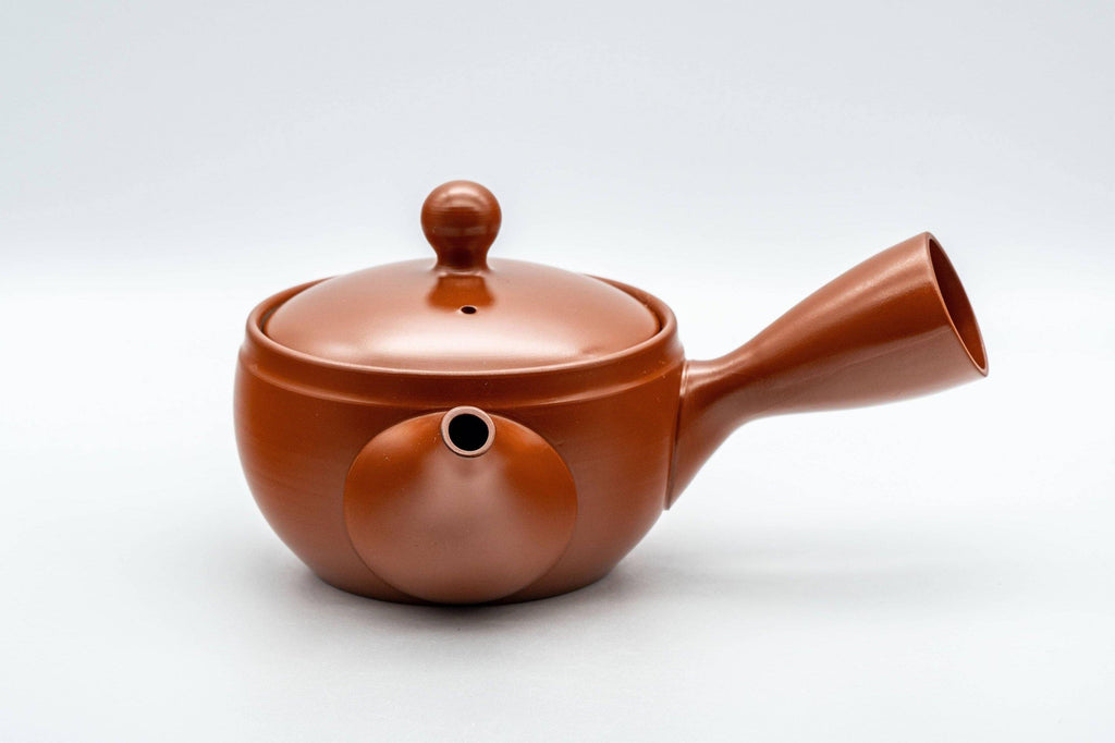 Japanese Kyusu - Tokoname-yaki 270 Degree Filter Teapot - 300ml