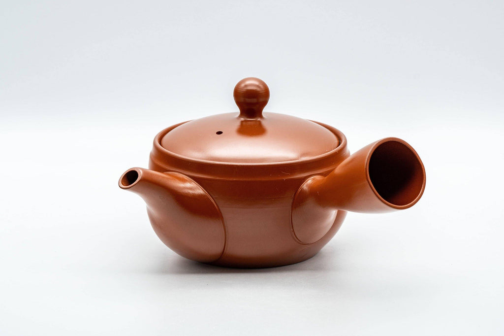 Japanese Kyusu - Tokoname-yaki 270 Degree Filter Teapot - 300ml