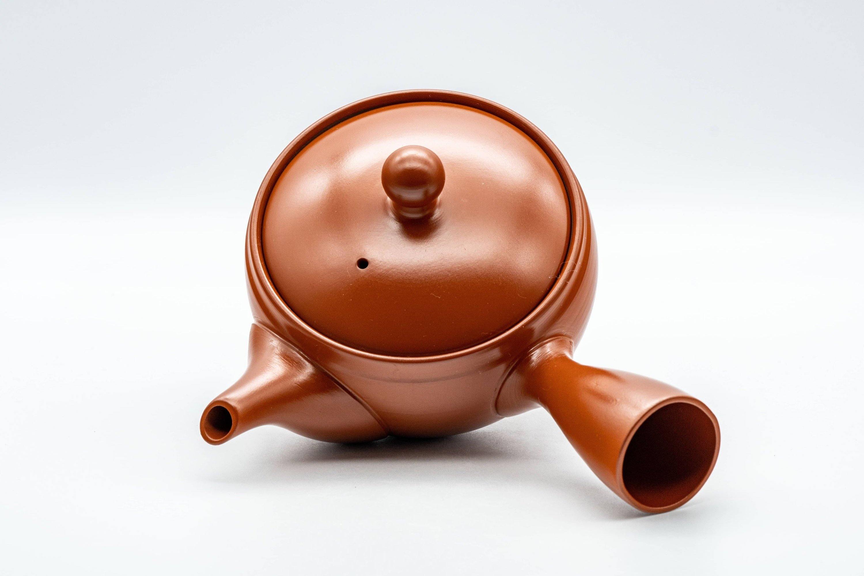 Japanese Kyusu - Tokoname-yaki 270 Degree Filter Teapot - 300ml