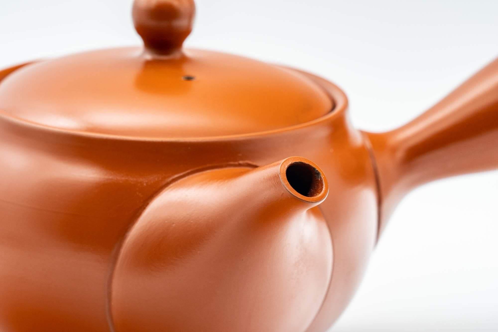 Japanese Kyusu - Classic Tokoname-yaki Teapot - 325ml
